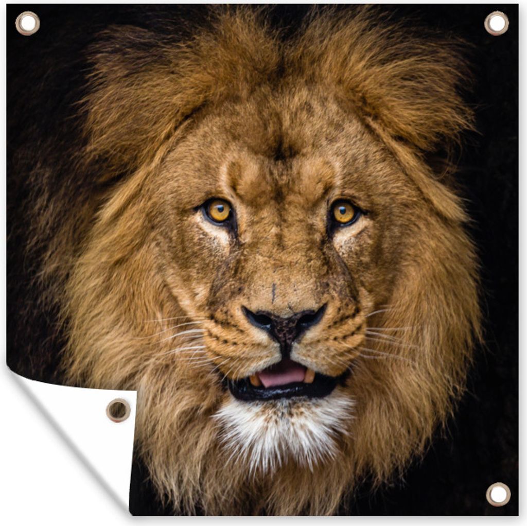 MuchoWow 50x50 cm Outdoor-Poster Gartendeko Sichtschutz Garten Poster für den Garten Löwe - Porträt - Schwarz - Tiere