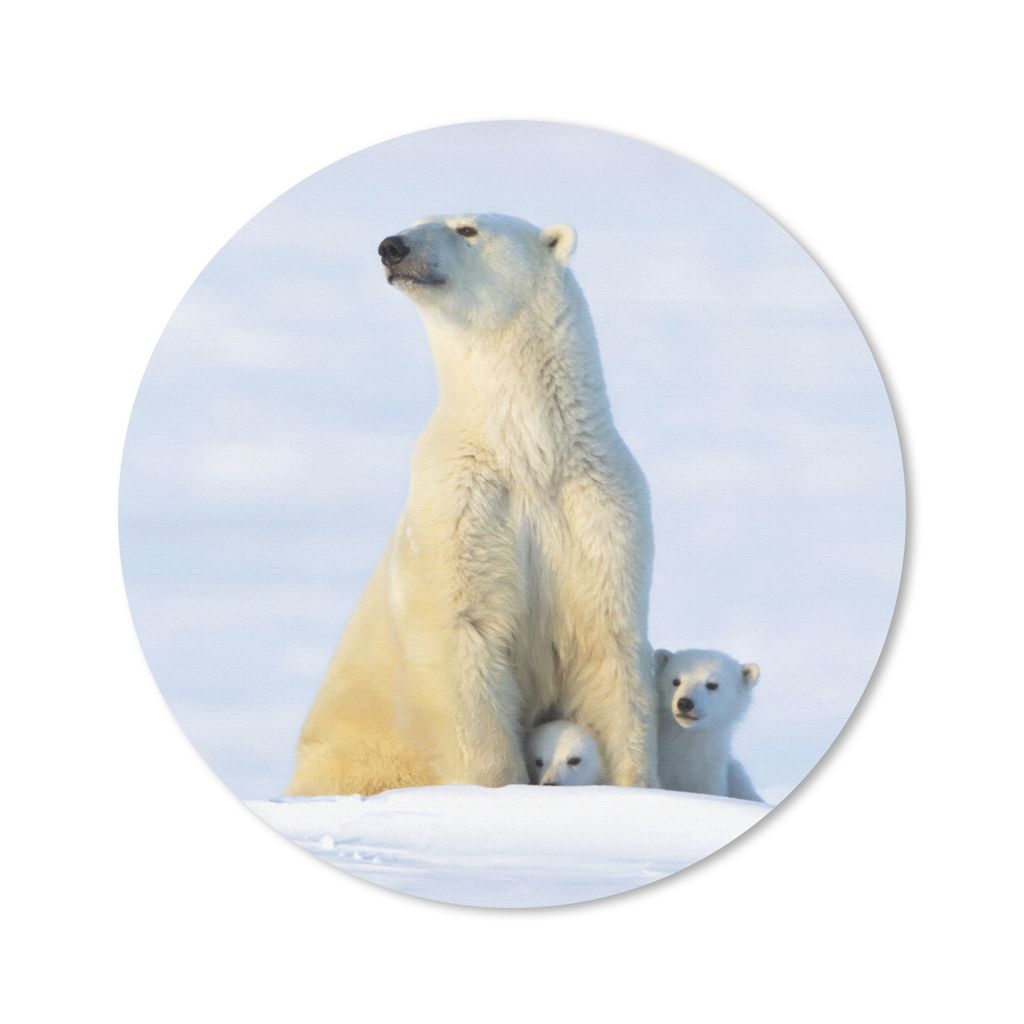 MuchoWow Mauspad Mousepad Eisbär - Schnee - Jungtiere 50x50 cm - Mousepads - Maus Mat - Pad - Mausunterlage - Vinyl