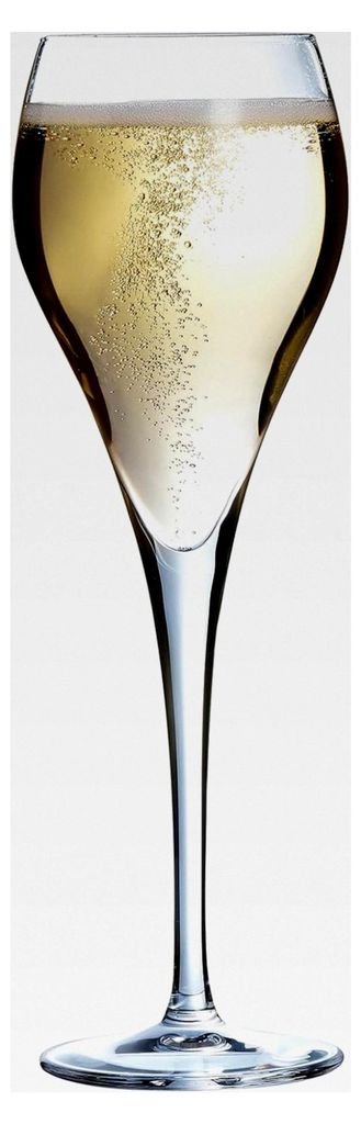 Brio Kollektion – 6 Champagnergläser 16 cl – Transparenz und Stabilität – verstärkte Verpackung