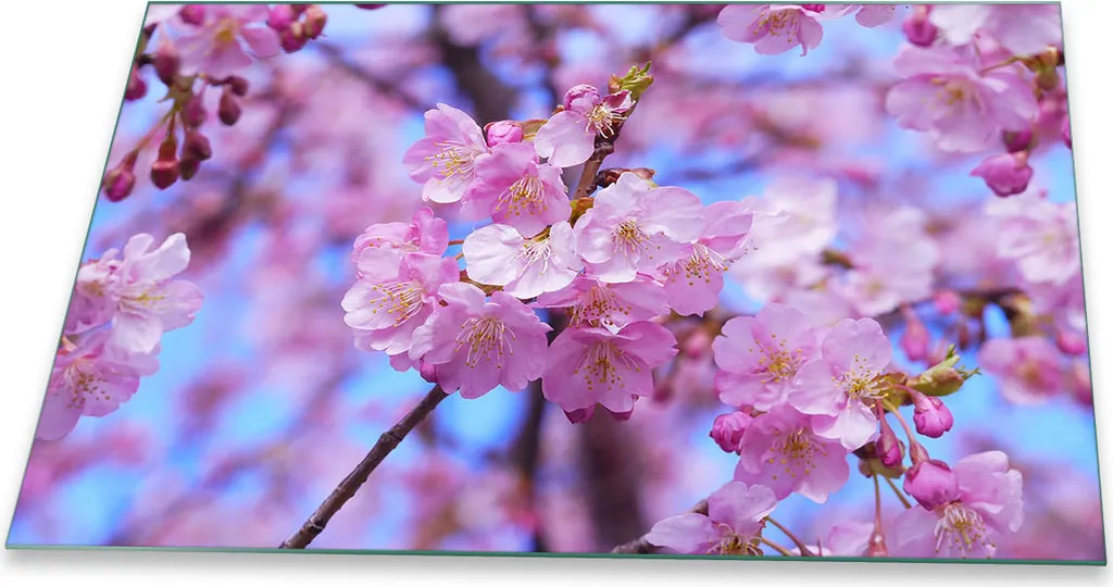 Copri Piano Cottura 80x52 Glass Cover Fiori Rosa | Must-Have Cucina