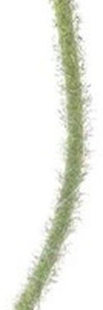 Warentuin Producten