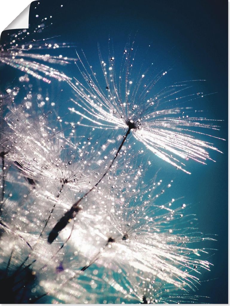 ARTland Poster Pusteblume Kristallschirmchen Größe: 45x60 cm