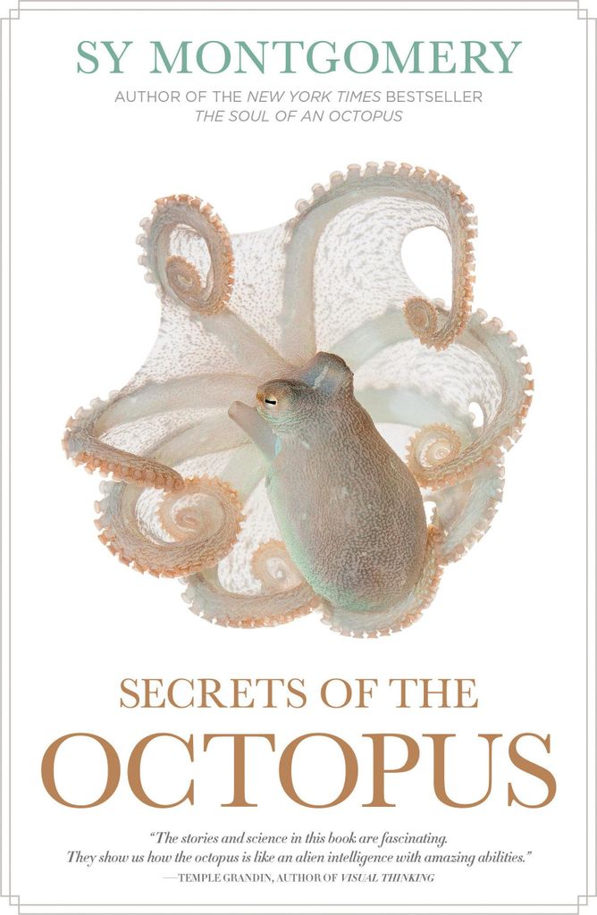 Secrets of the Octopus