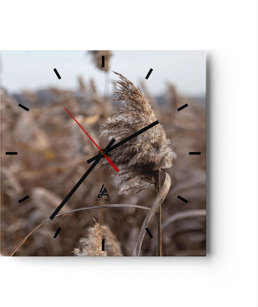 Wanduhr - Quadrat - Glasuhr - Boho Ähren Gras - 30x30cm - Schleichendes Uhrwerk - Lautlos - zum Aufhängen bereit - Dekoration Modern - Wanddekora...