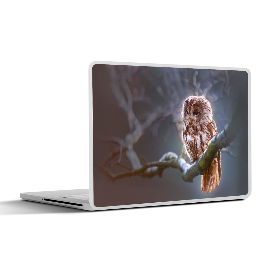 MuchoWow Laptop Aufkleber Sticker Cover Vogel - Eule - Schleiereule 31x22.5 cm - Laptop-Deko