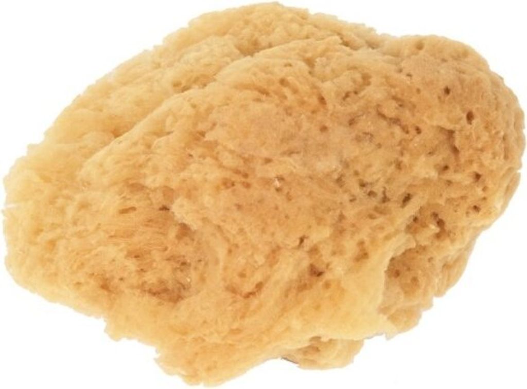 Naturschwamm G5, ca. 19cm