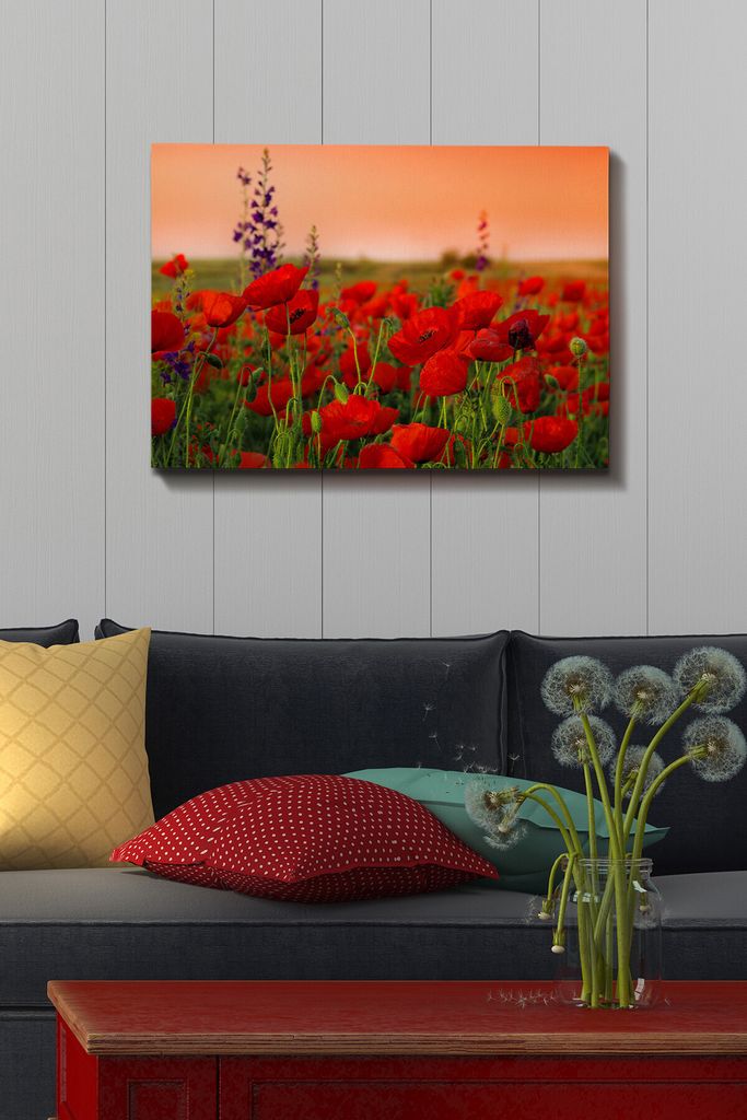 Wallity, Kanvas- TCR1101, Bunt, Leinwandbilder, 50 x 70 cm, 100% Leinwand