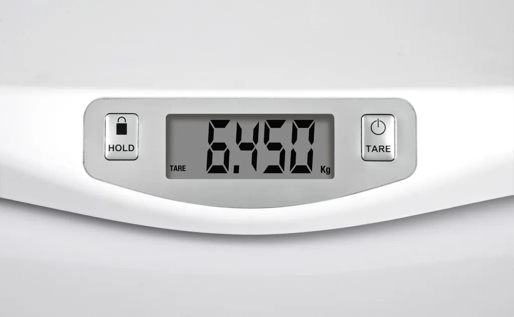 G3Ferrari G3002100 CRESCOBENE Pèse-bébé Électronique Haute Précision - 6
