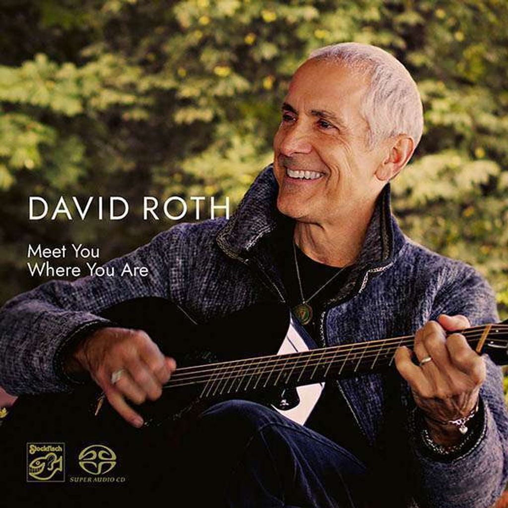 ROTH DAVID - Meet You Where You Are (2LP/180g/45rpm)