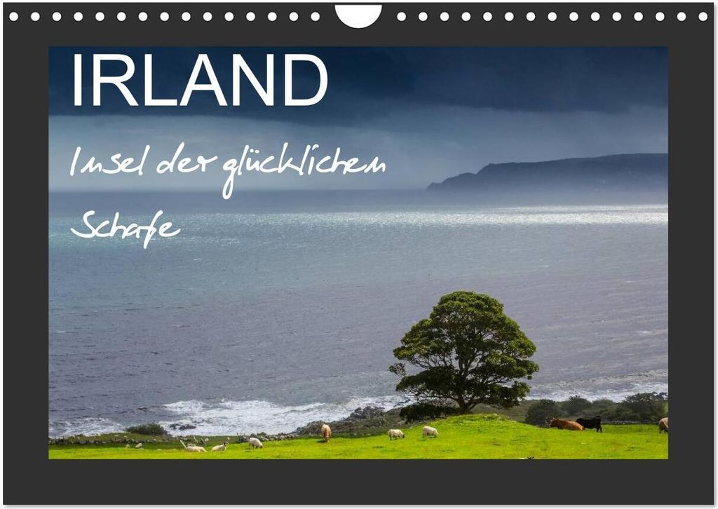 IRLAND - Insel der glücklichen Schafe (Wandkalender 2026 DIN A4 quer), CALVENDO Monatskalender