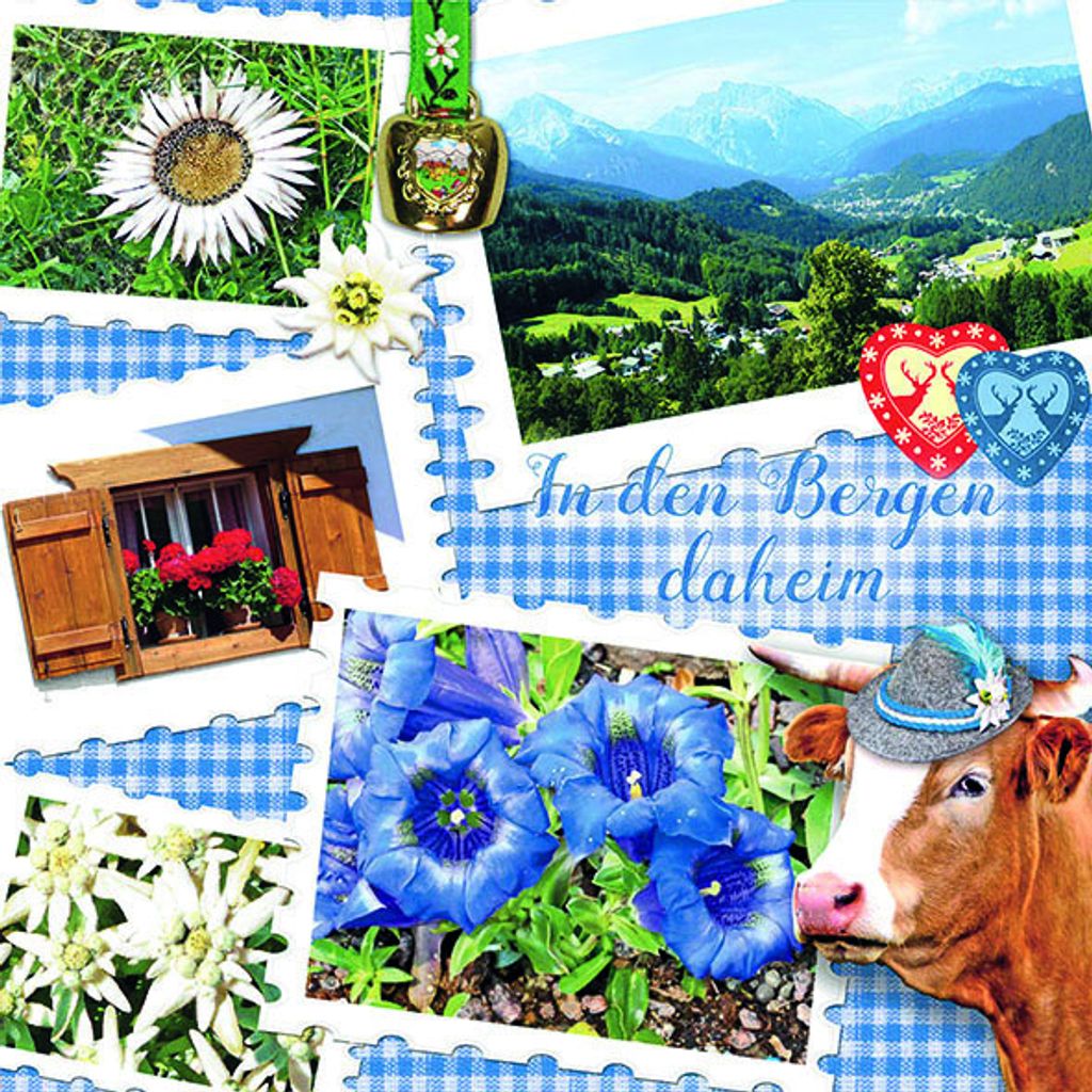 Servietten Lunch – Napkin Lunch – Format: 33 x 33 cm – 3-lagig – 20