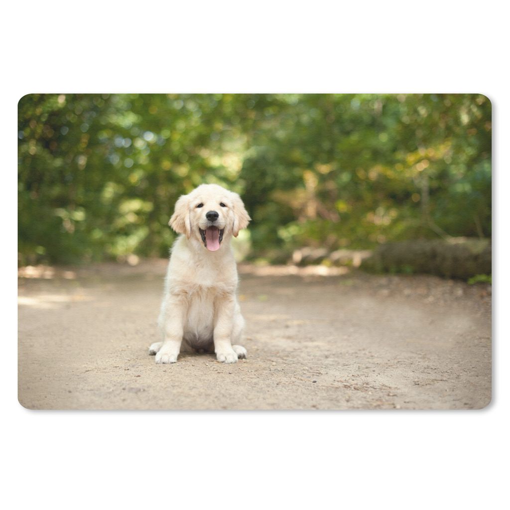 MuchoWow Mauspad Mousepad Labrador Retriever Welpe sitzt auf einem Waldweg 27x18 cm - Mousepads - Maus Mat - Pad - Mausunterlage - Büroartikel -...