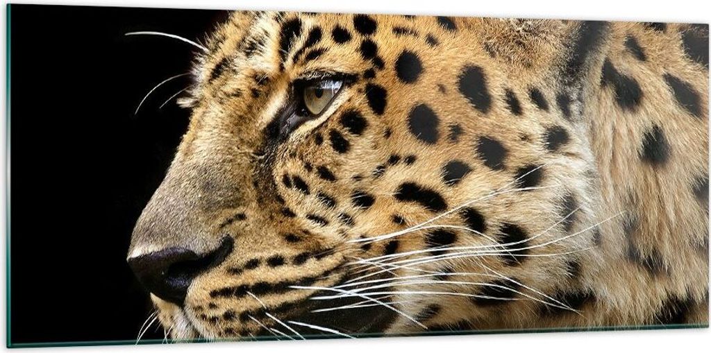 Bilder auf glas - Tiere Leopard wilde Katze wilde Tiere - 120x50cm - Glasbilder - Wandbilder - Kunstdruck - Wanddekoration aus Glas - Glas Bilder -...