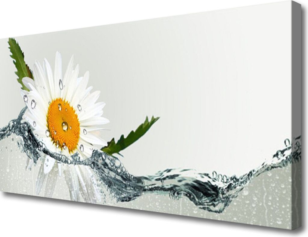 Tulup Leinwand-Bilder 100x50 Wandbild Canvas Kunstdruck Gänseblümchen Wasser Kunst