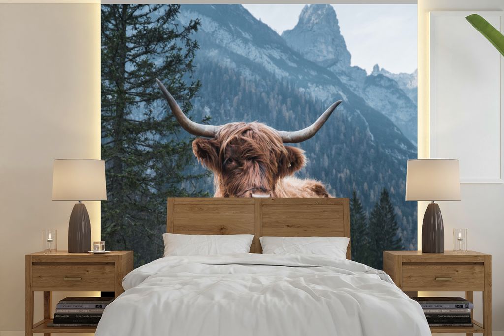 MuchoWow Fototapete für Wohnzimmer oder Schlafzimmer Wandtapete Vinyl Motivtapete Kuh - Schottischer Highlander - Natur - 300x300 cm - Wanddekor...