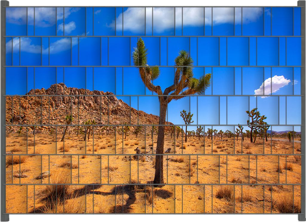Wallario Zaunsichtschutz mit Motiv Palmlilie im Nationalpark Yucca Valley Wüstenlandschaft für Ein- und Doppelstabmatten Zäune in der Größe 20...