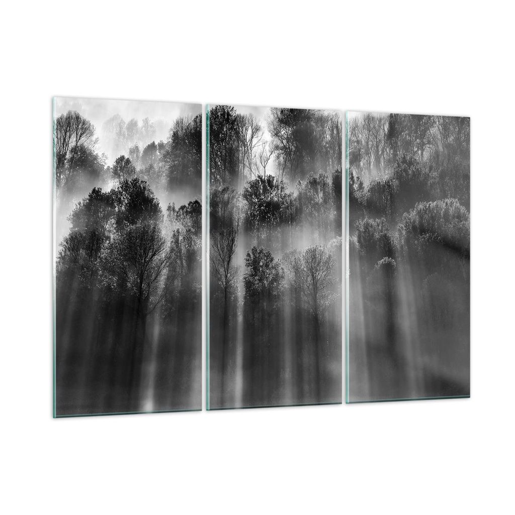 Bilder auf glas - 3 Teile - Bäume drinnen Nebel - 165x110cm - Glasbilder - Wandbilder - Bilder - zum Aufhängen bereit - Wanddekoration aus Glas -...