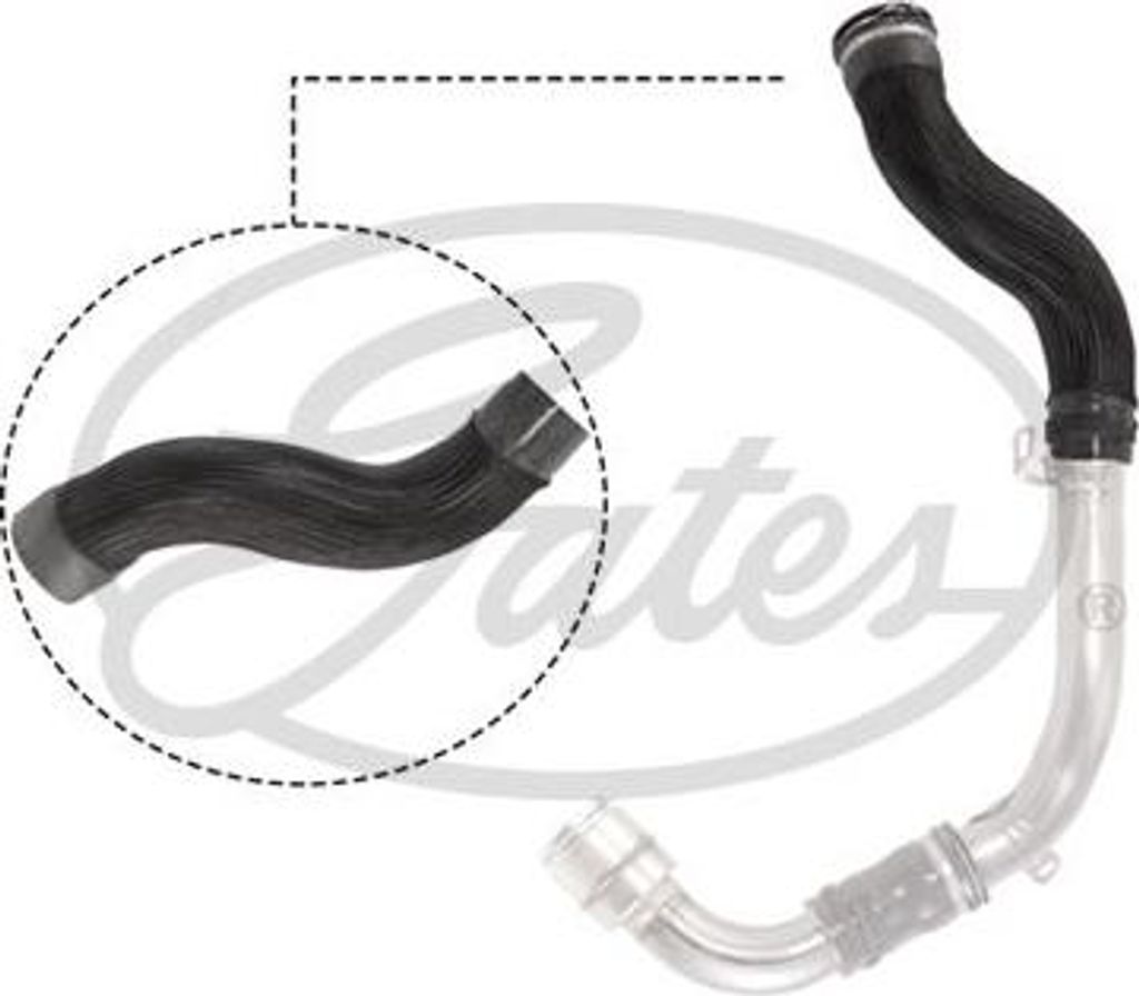 GATES 09-0523 Ladeluftschlauch OE 8201020571 kompatibel mit Scenic, Megane, Fluence