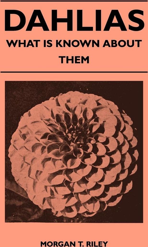 Dahlias - What Is Known About Them