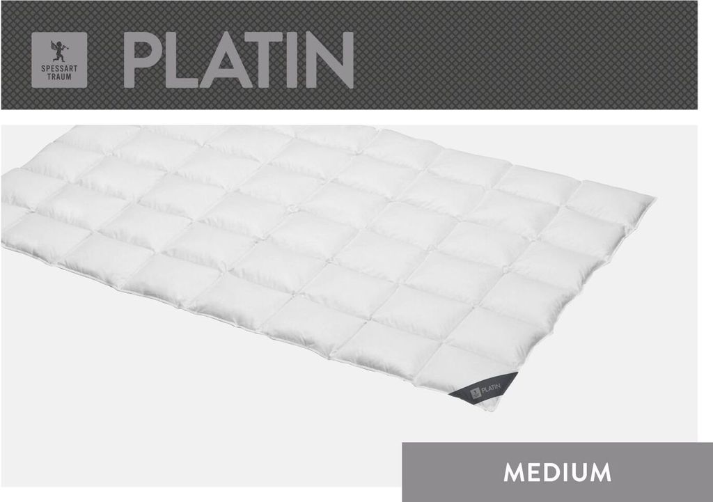 Spessarttraum Bettdecke Daunendecke Platin 240 x 220 cm Medium