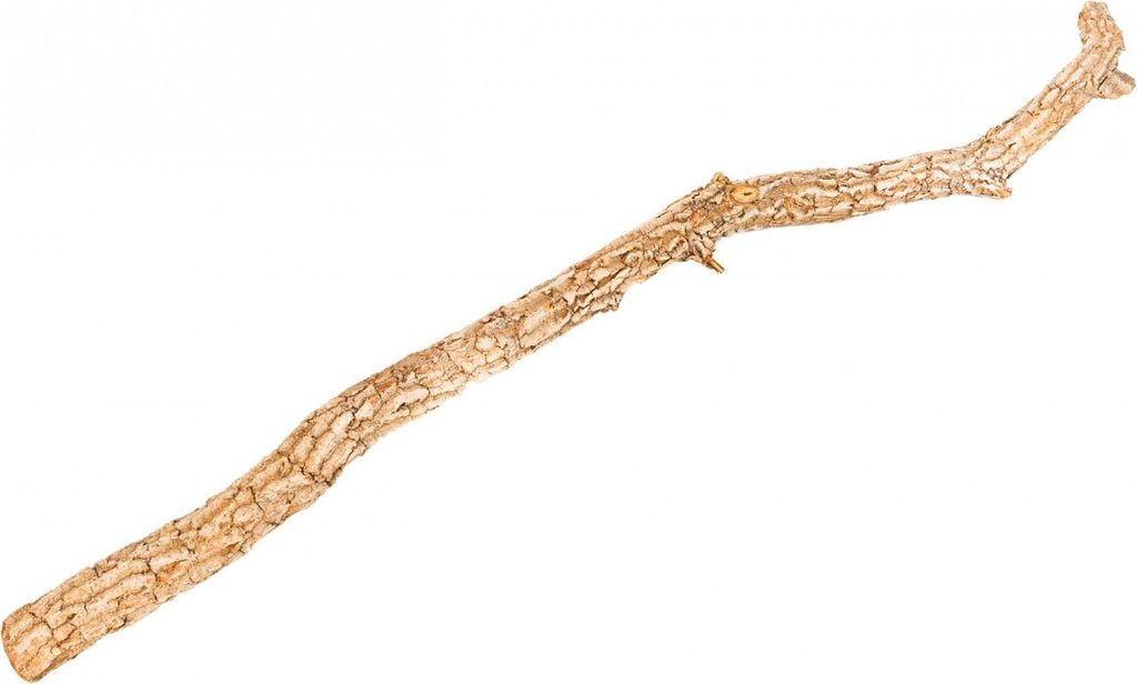 Korkeichenstamm 200cm x 6-8cm