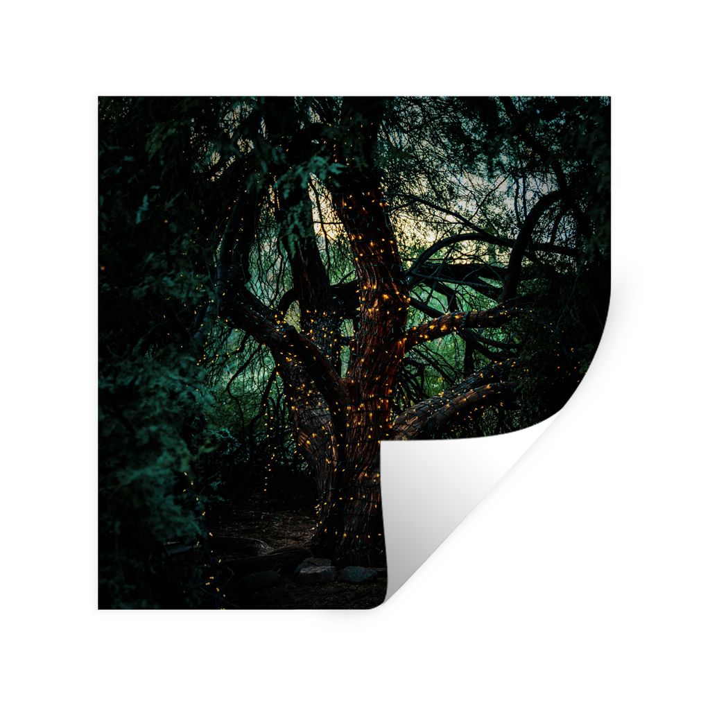 MuchoWow Wandtattoo Wandsticker Wandaufkleber Baum - Glühwürmchen - Natur 30x30 cm Selbstklebend und Repositionierbar - Repositionierbar - Wass...