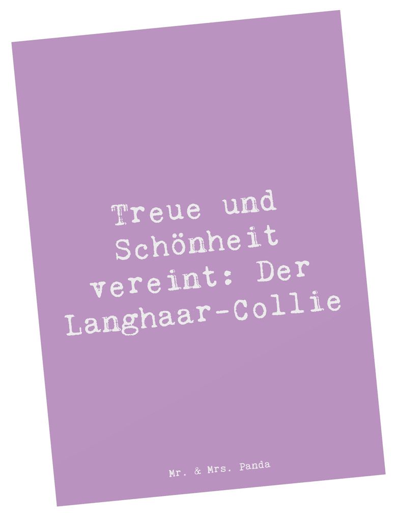 Mr. & Mrs. Panda Postkarte Spruch Langhaar Collie - Lavendeltraum - Geschenk, Hunderasse, Ansichtskarten, Hunderassen Charakter, prachtvolles Haar,...