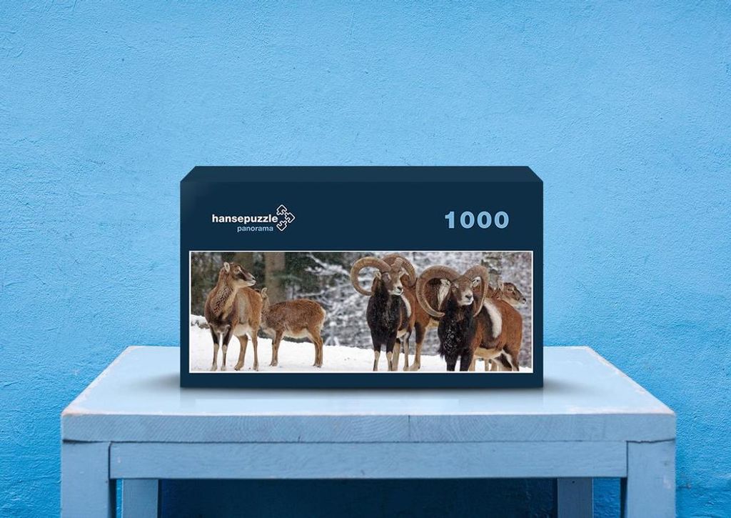 hansepuzzle 30124 - Mufflon Puzzle, 1050 Teile, Tierwelt, 60,0 x 46,0cm mit hochwertiger Aufbewahrung, Kartonbox und wiederverschließbarem Beutel