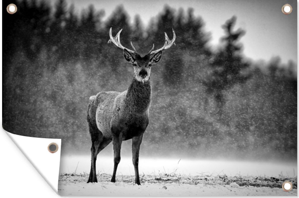 MuchoWow 60x40 cm Outdoor-Poster Gartendeko Sichtschutz Garten Poster für den Garten Tiere - Hirsche - Winter - Schwarz - Weiß