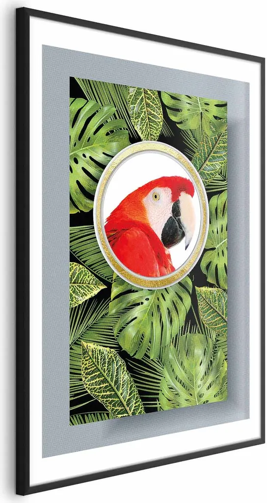 Quadro Tropicale Pappagallo 60x90 cm Cornice Nera Minimalista Moderna
