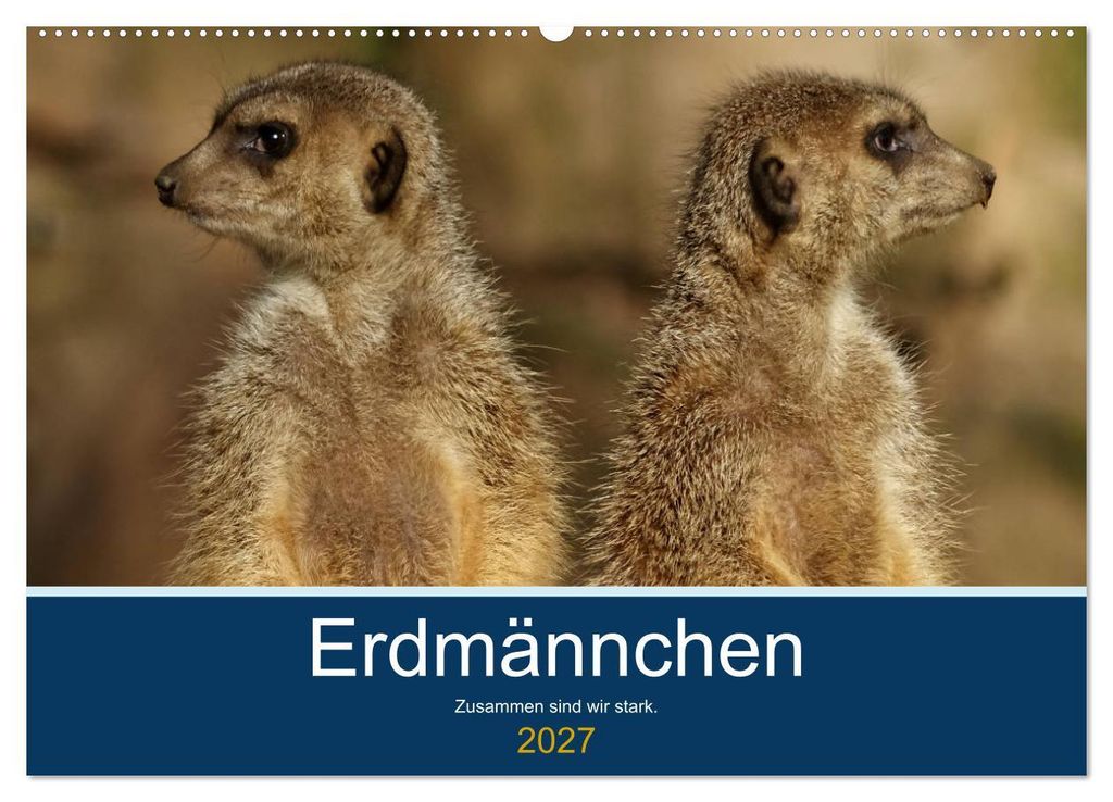 Erdmännchen - Zusammen sind wir stark (Wandkalender 2027 DIN A2 quer), CALVENDO Monatskalender
