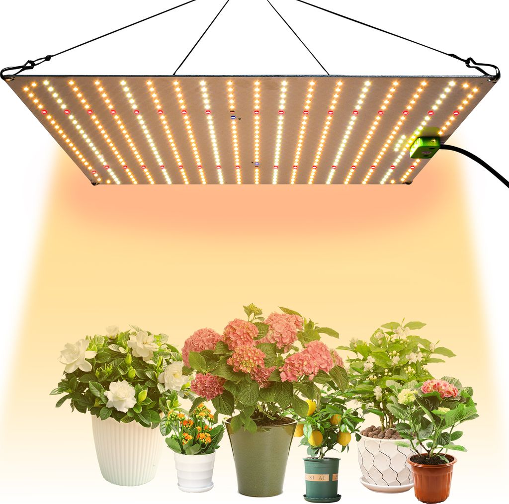 A grow light illuminates several potted plants.