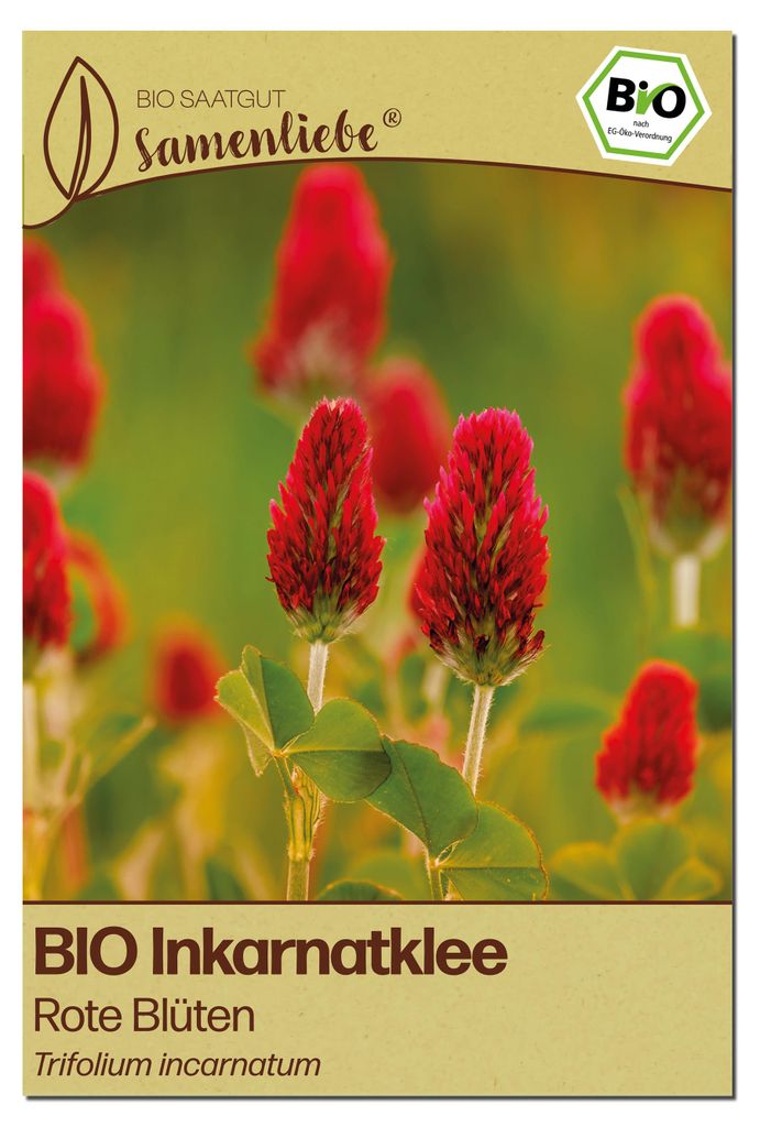 Samenliebe Inkarnatklee Samen | Gründünger - winterhart & zweijährig & rote - samenfestes Saatgut