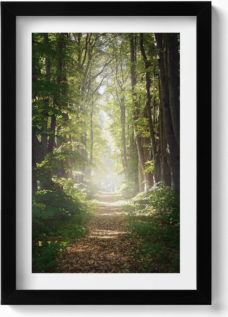 Waldweg zwischen den Bäumen– Wandbild mit Rahmen – Gerahmtes Bild – Wanddekoration – 20x30 cm – Schwarz