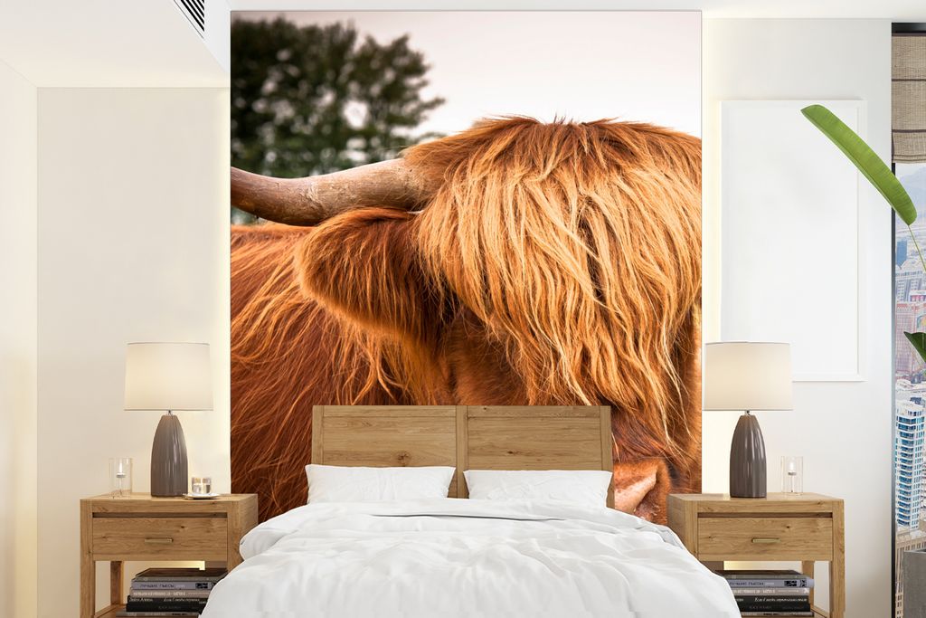 MuchoWow Fototapete für Wohnzimmer oder Schlafzimmer Wandtapete Vinyl Motivtapete Schottische Highlander - Braun - Gras - 175x240 cm - Schlafzim...