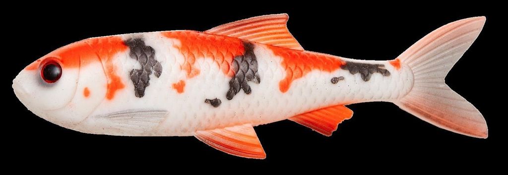 Pulz Bait Roach Kit (Koi Carp)