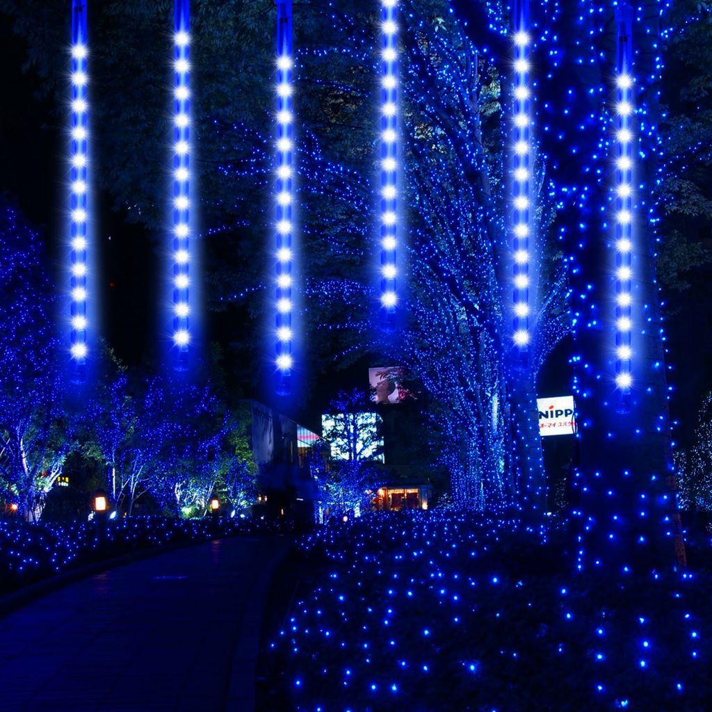 A pathway lined with trees decorated with blue LED lights at night.