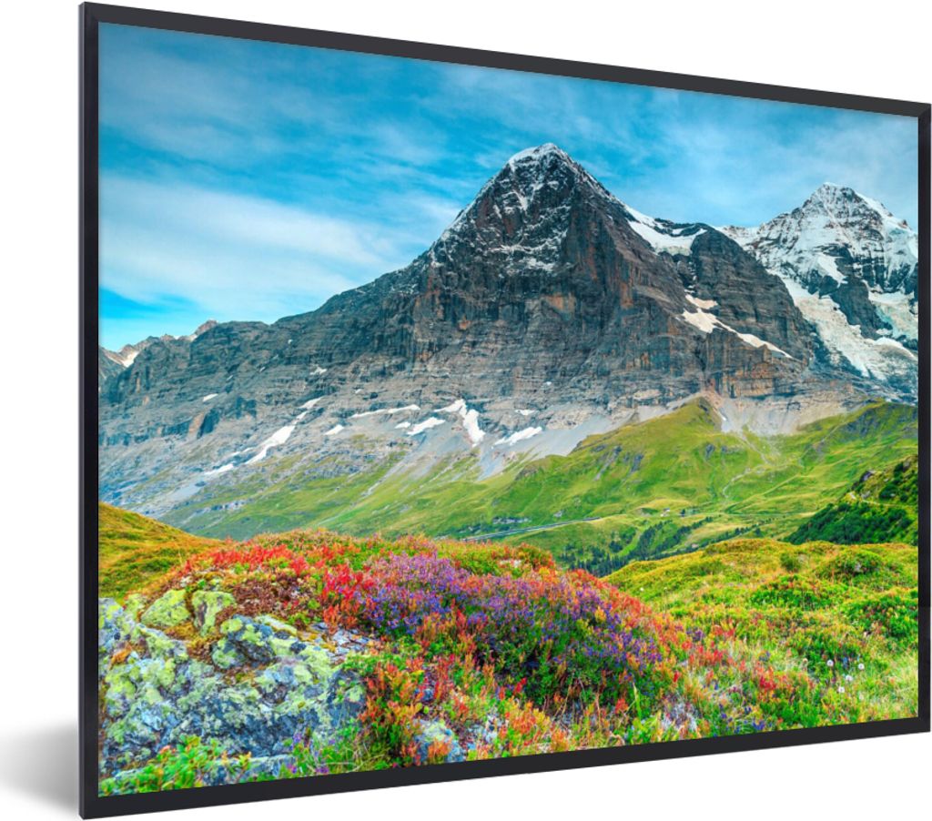 MuchoWow Gerahmtes Poster Blumen - Berge - Schnee - Landschaft 80x60 cm - Poster mit Schwarzem Bilderrahmen Wandposter Rahmen Foto Bilder - Schwa...