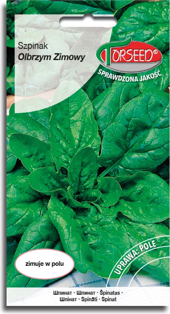 Samen „Riesiger Winterspinat“ 10 g – Torseed Produktbild 