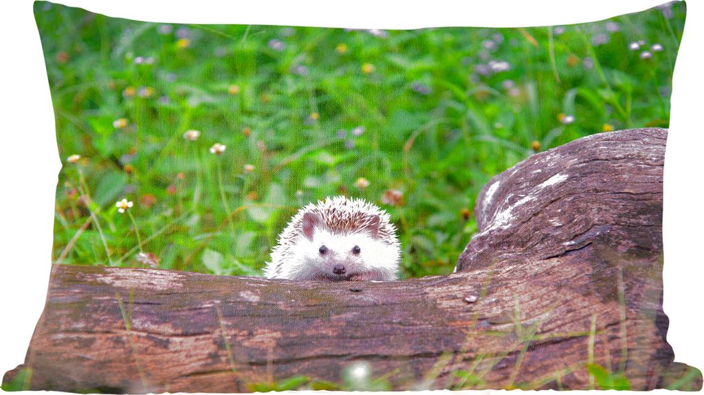 MuchoWow Zierkissen Sofakissen Wohnzimmer Dekokissen 50x30 cm Kleiner Igel auf Baumstumpf - Wohnzimmerdekoration - Polster mit Photo