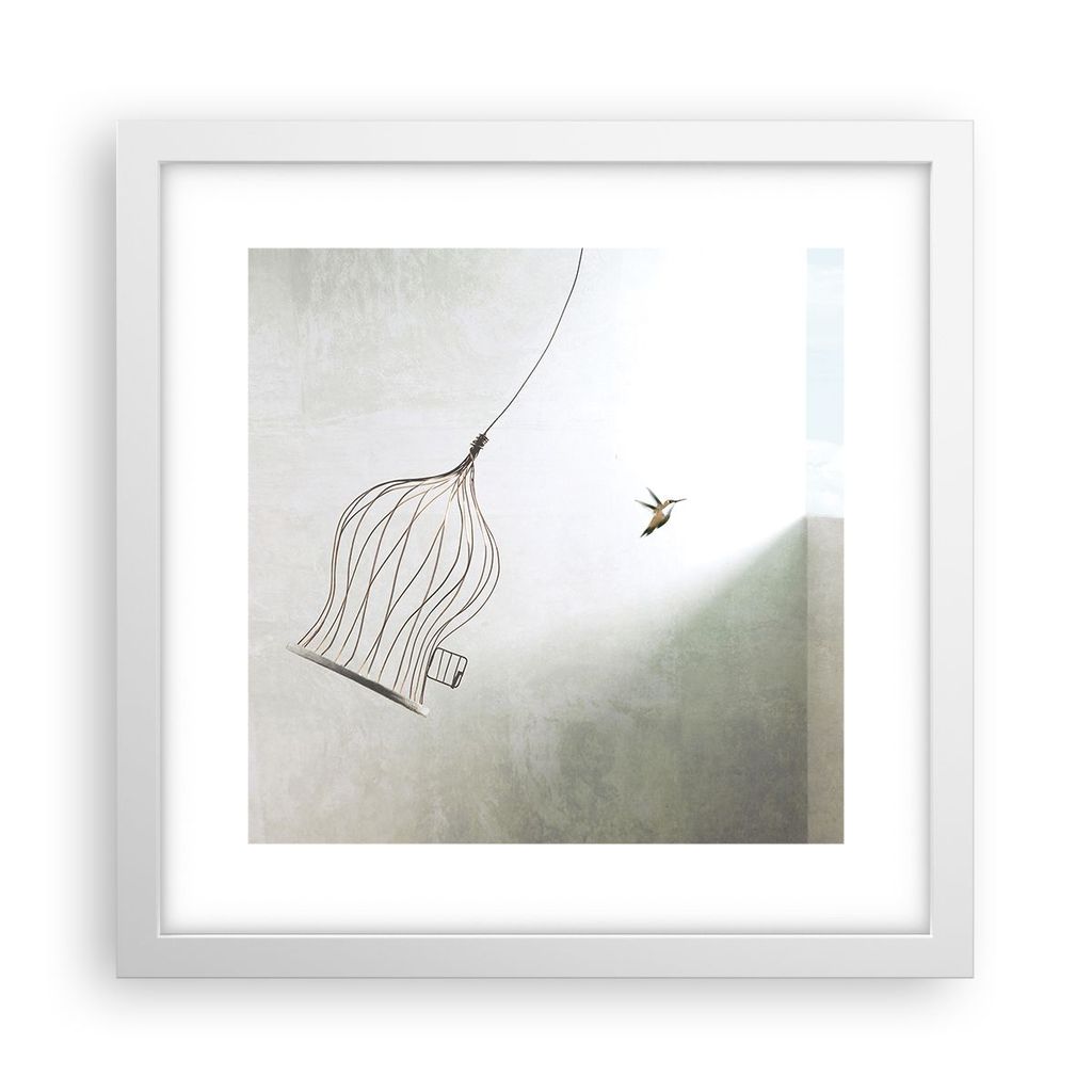 Gerahmtes Poster - Weißer Rahmen - Flug Vogel Käfig - 30x30 cm - Wand Bild - Wanddeko - Wandbilder - Kunstposter - Wandposter - Bilderrahmen - Bi...
