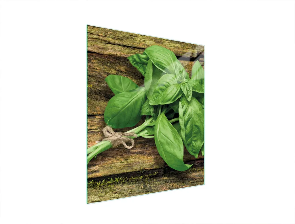 Coprifornelli in Vetro 45x52 Basilico | Tagliere Universale Cucina