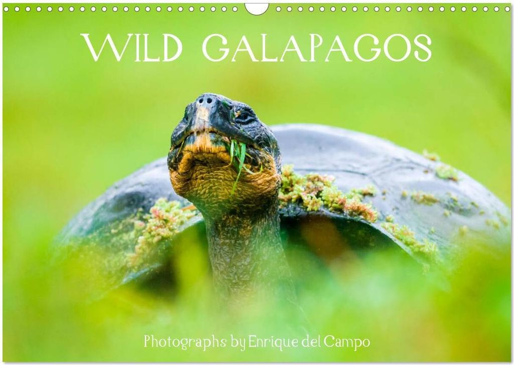 WILD GALAPAGOS (Wall Calendar 2026 DIN A3 landscape), CALVENDO 12 Month Wall Calendar