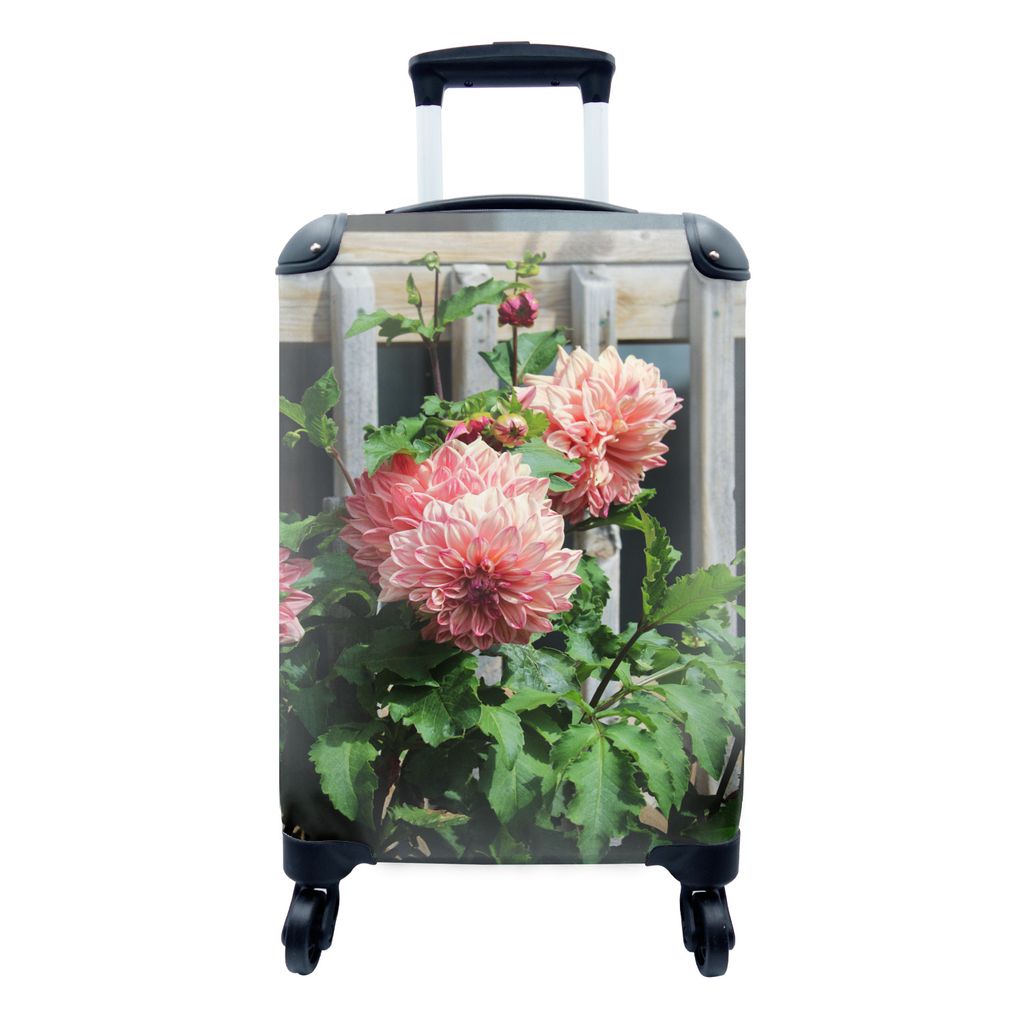 MuchoWow Koffer Handgepäck Trolley Rollkoffer Kleine Reisekoffer mit 4 Rollen - Dahlie am Zaun - Cabin Size < 55x40x23 cm & 55x40x20 cm - Fotoko...