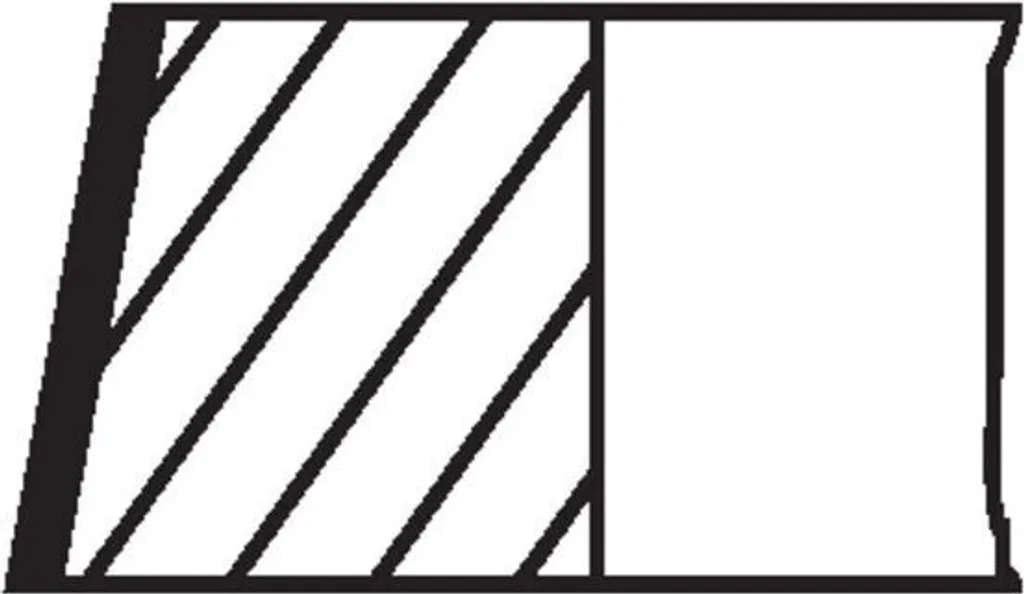 Set Fasce Elastiche MAHLE BMW N57 081 RS 00105 0N1 - Qualità OEM