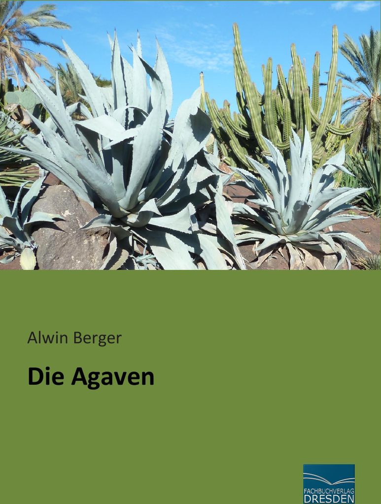 Die Agaven