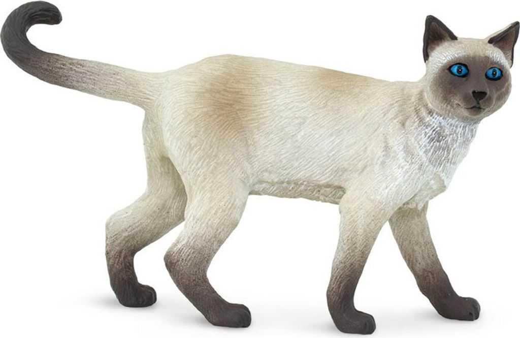 Safari Ltd Siamese Beige / Brown One Size