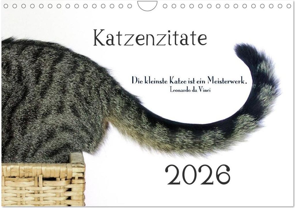 Katzenzitate 2026 (Wandkalender 2026 DIN A4 quer), CALVENDO Monatskalender