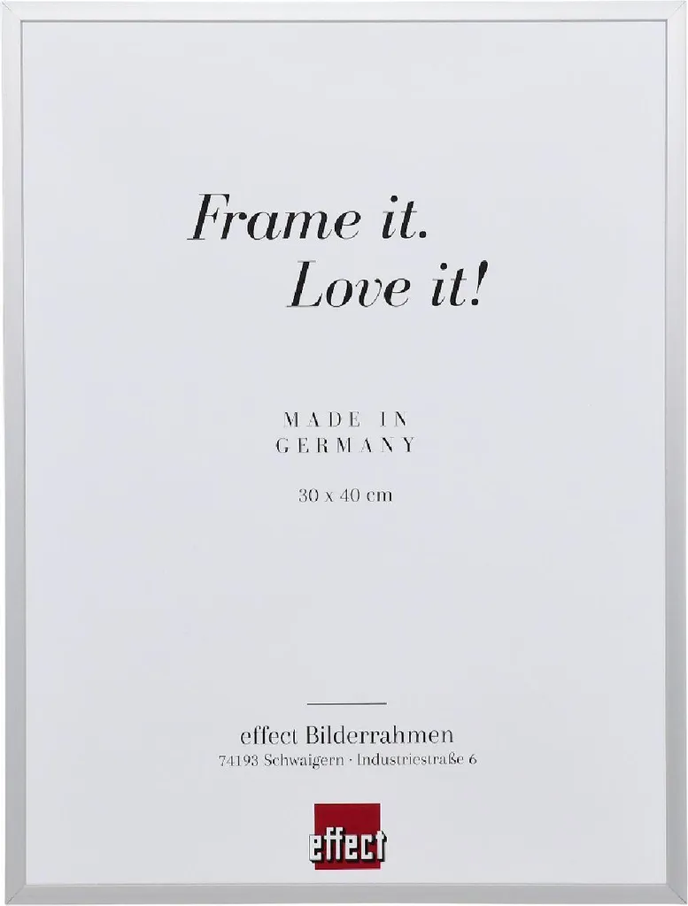 Cornice Professionale 24x30 Effect Serie 2 Argento Vetro Museale