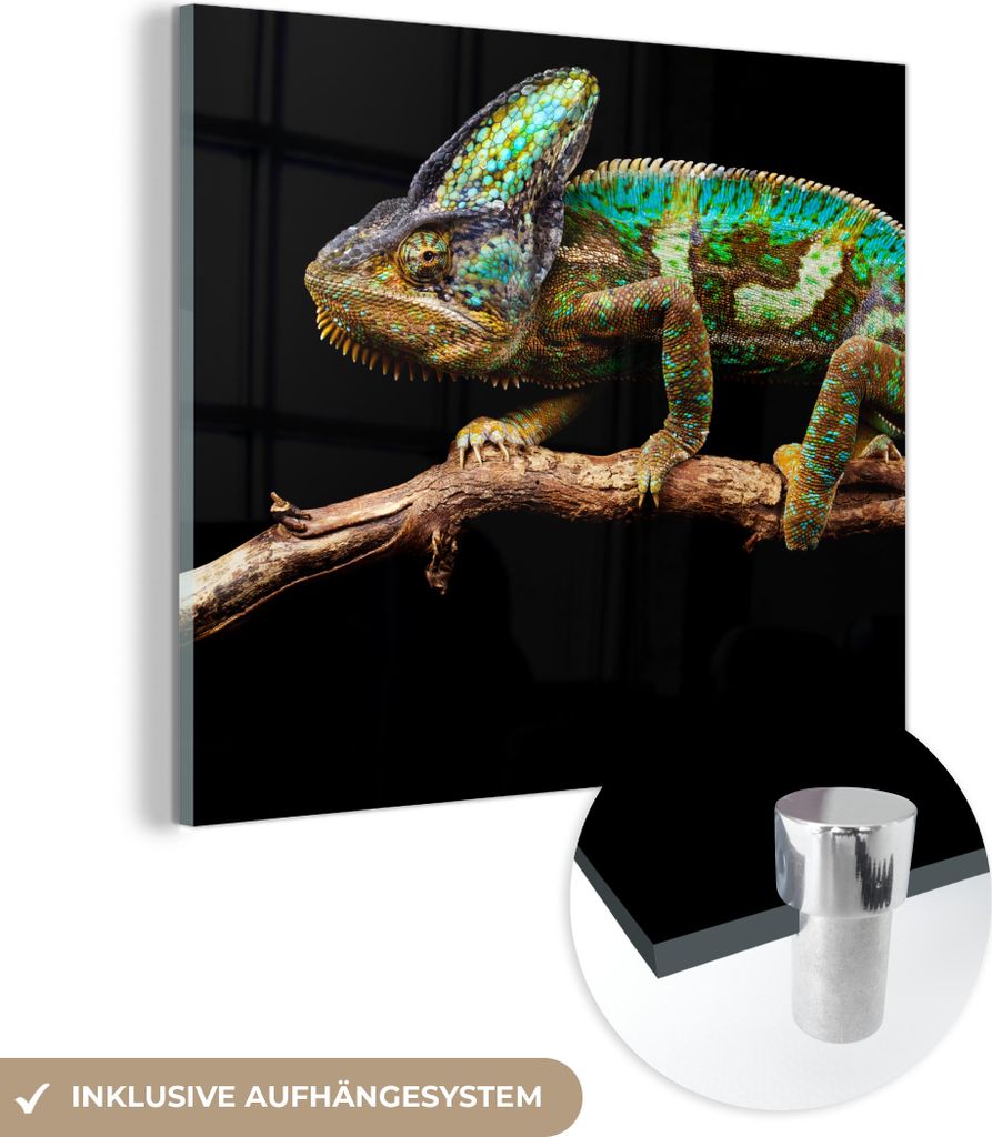 MuchoWow Glasbilder - Bilder auf Wandbild - Foto auf Glas Chamäleon - Zweig - Grün 20x20 cm Wanddekoration aus Glas - Acrylglasbild - Acrylbilder...